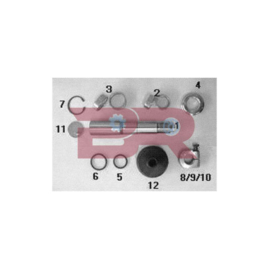 Botto Ricambi KITIV021 Repair Kit, Kingpin