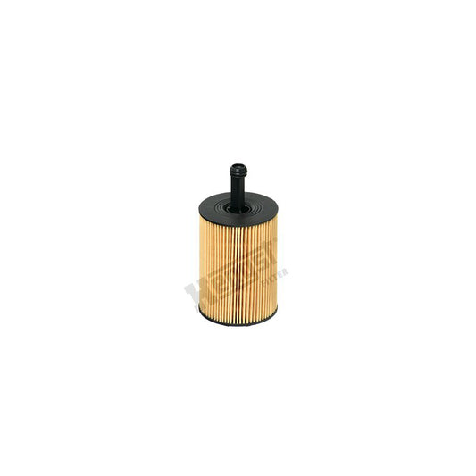 Hengst Filter E19H D83 Oil Filter
