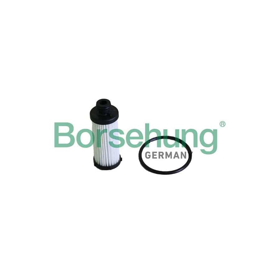 Borsehung B12287 Oil Filter