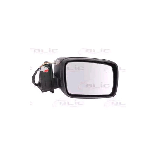 Blic 5402-57-2001616P Wing Mirror For Land Rover Discovery III (L319)