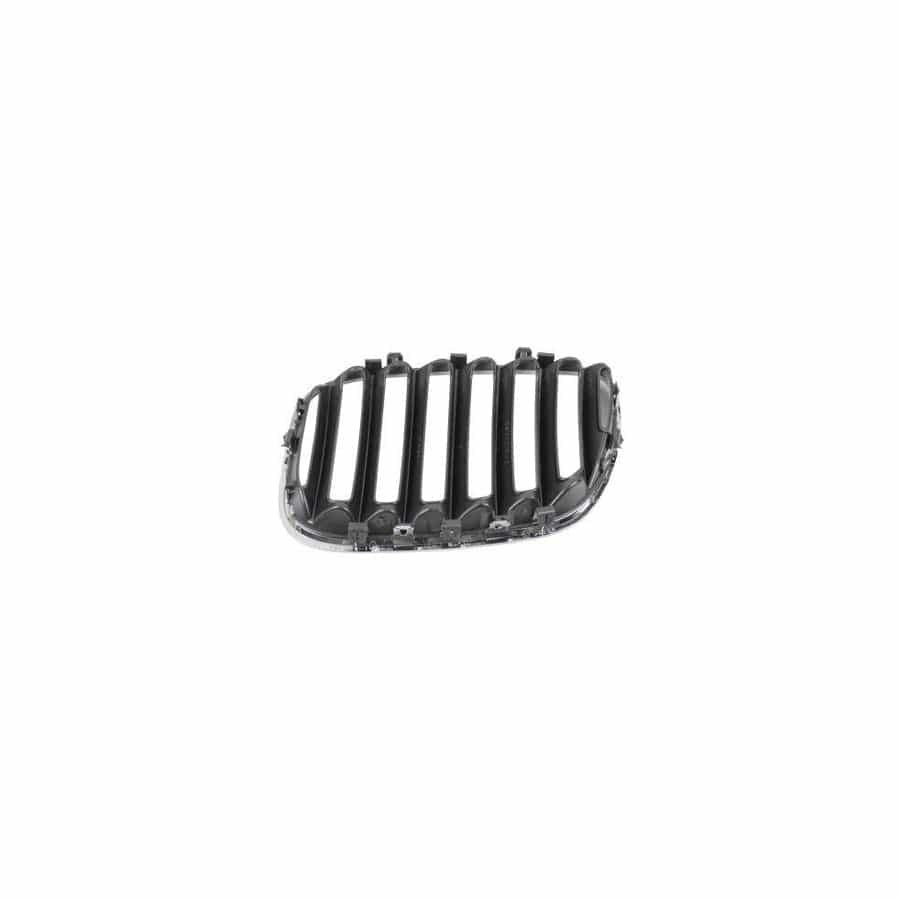 Abakus 00425482 Radiator Grille For Bmw X5 (E53) | ML Performance UK