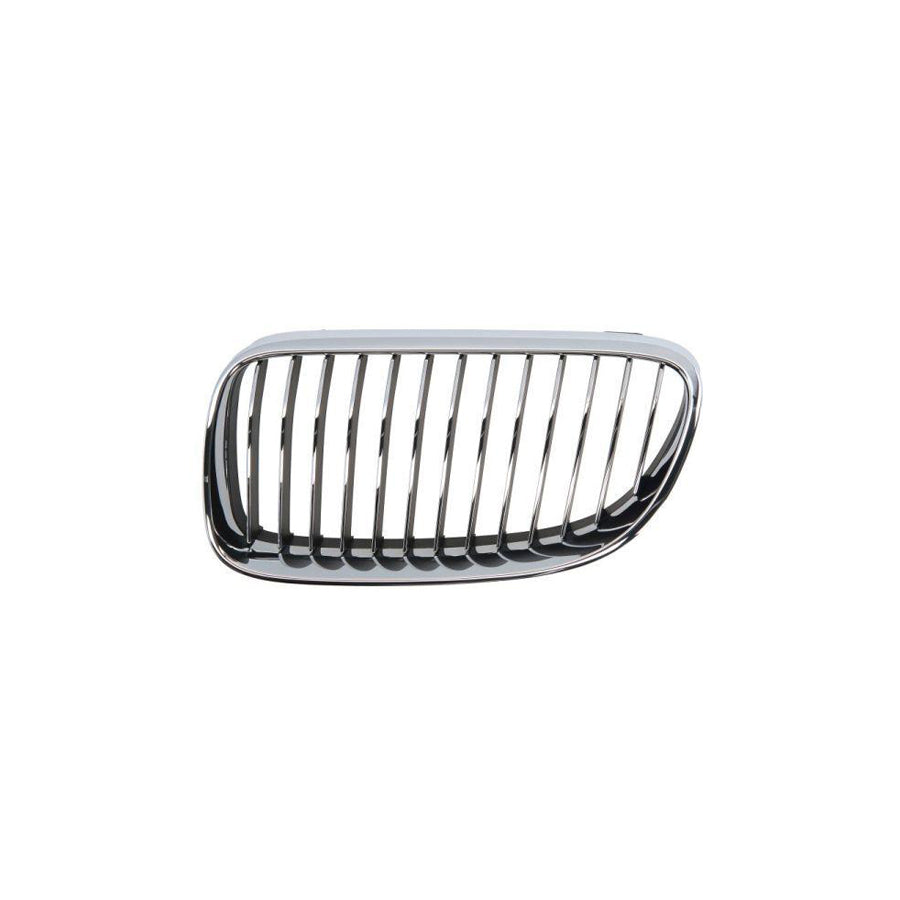 Blic 6502-07-00629915Pp Radiator Grille For BMW 3 Series