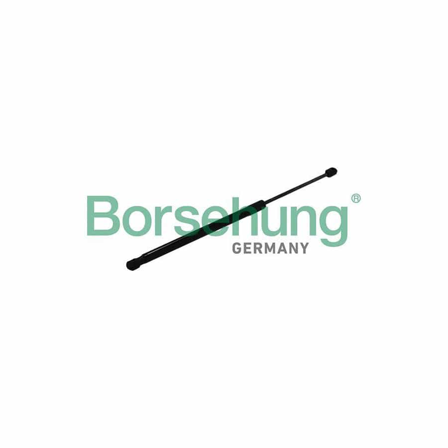 Borsehung B19169 Tailgate Strut