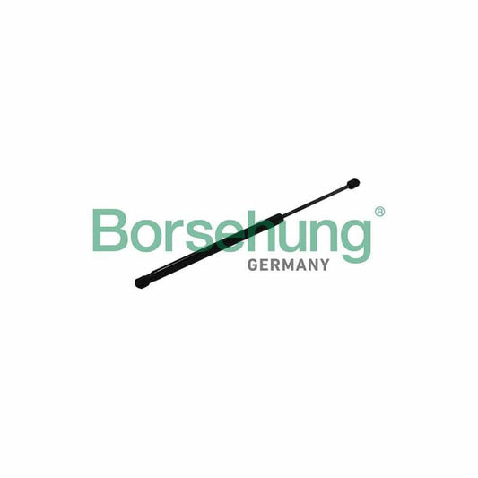 Borsehung B19169 Tailgate Strut
