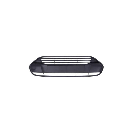 Blic 6502-07-2508996Q Bumper Grill