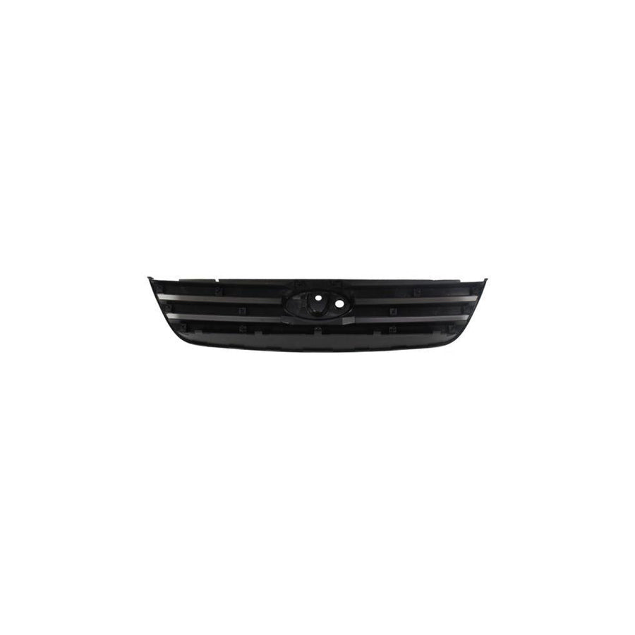 Blic 6502-07-2507992P Radiator Grille