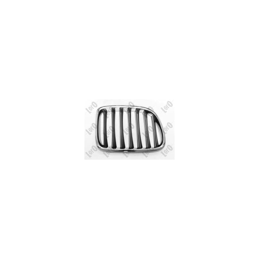 Abakus 00430408 Radiator Grille For Bmw X1 (E84) | ML Performance UK