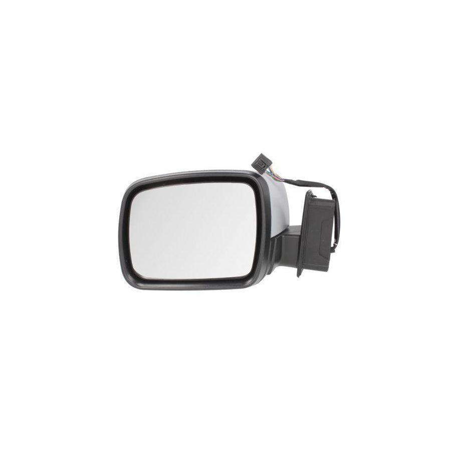 Blic 5402-57-2001629P Wing Mirror