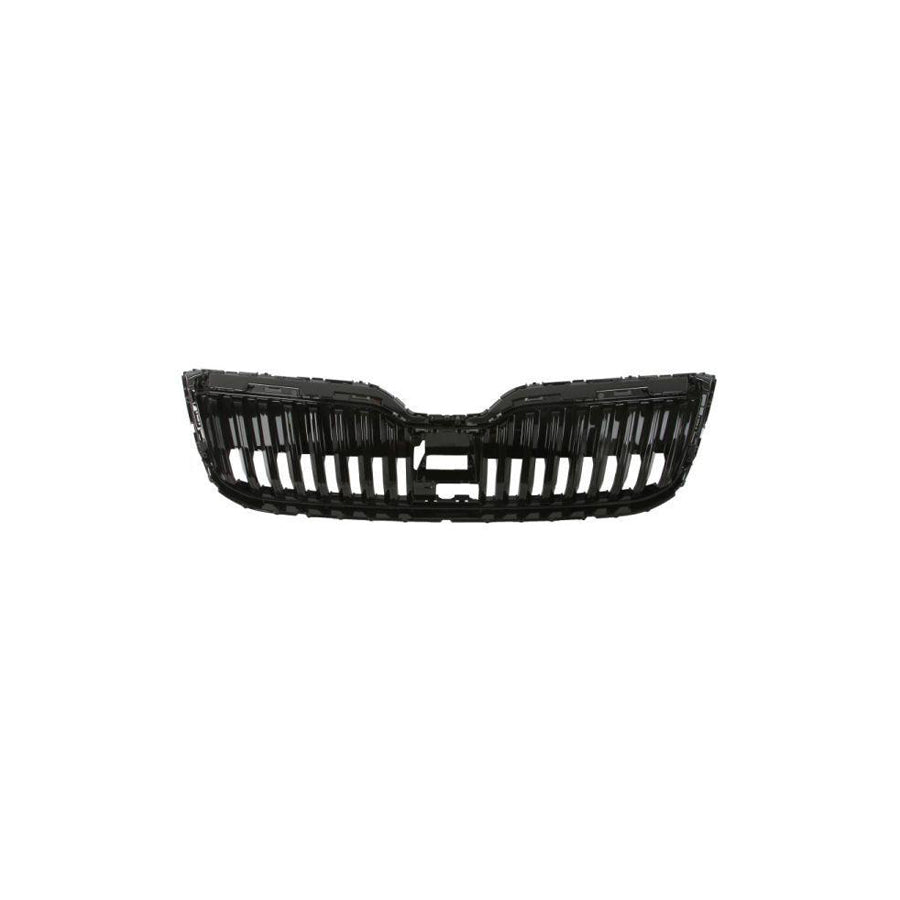 Blic 6502-07-7530990P Radiator Grille