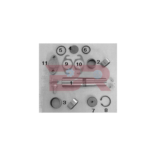 Botto Ricambi KITIV025OR Repair Kit, Kingpin