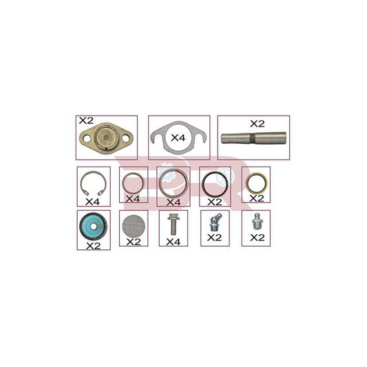 Botto Ricambi KITIV025 Repair Kit, Kingpin