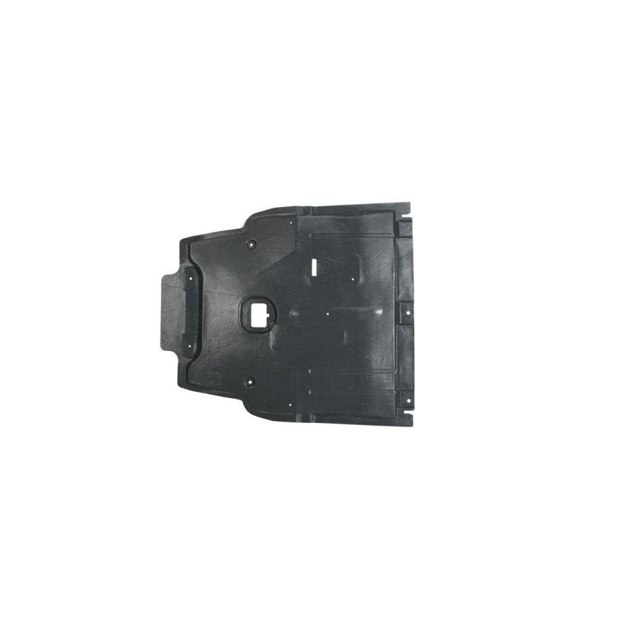 Blic 6601-02-3508883P Engine Cover