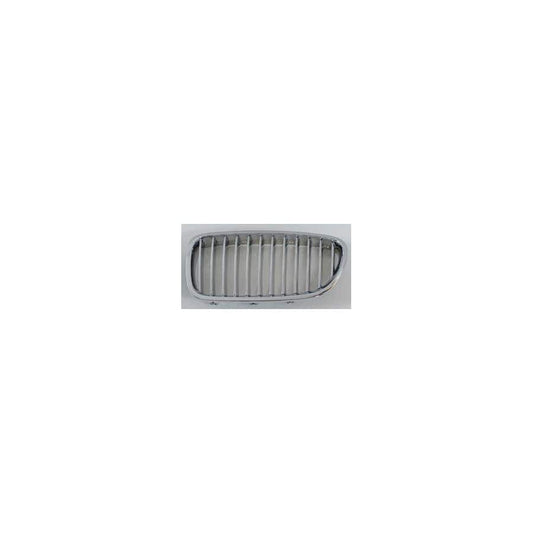 Abakus 00431485 Radiator Grille For Bmw 5 Saloon (F10) | ML Performance UK