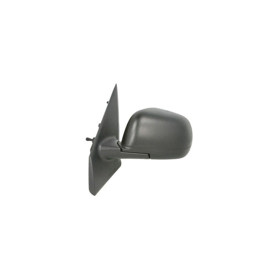 Blic 5402-67-004361P Wing Mirror