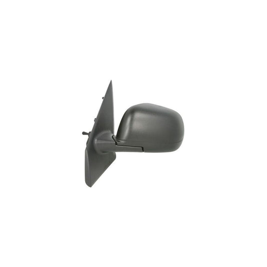 Blic 5402-67-004361P Wing Mirror