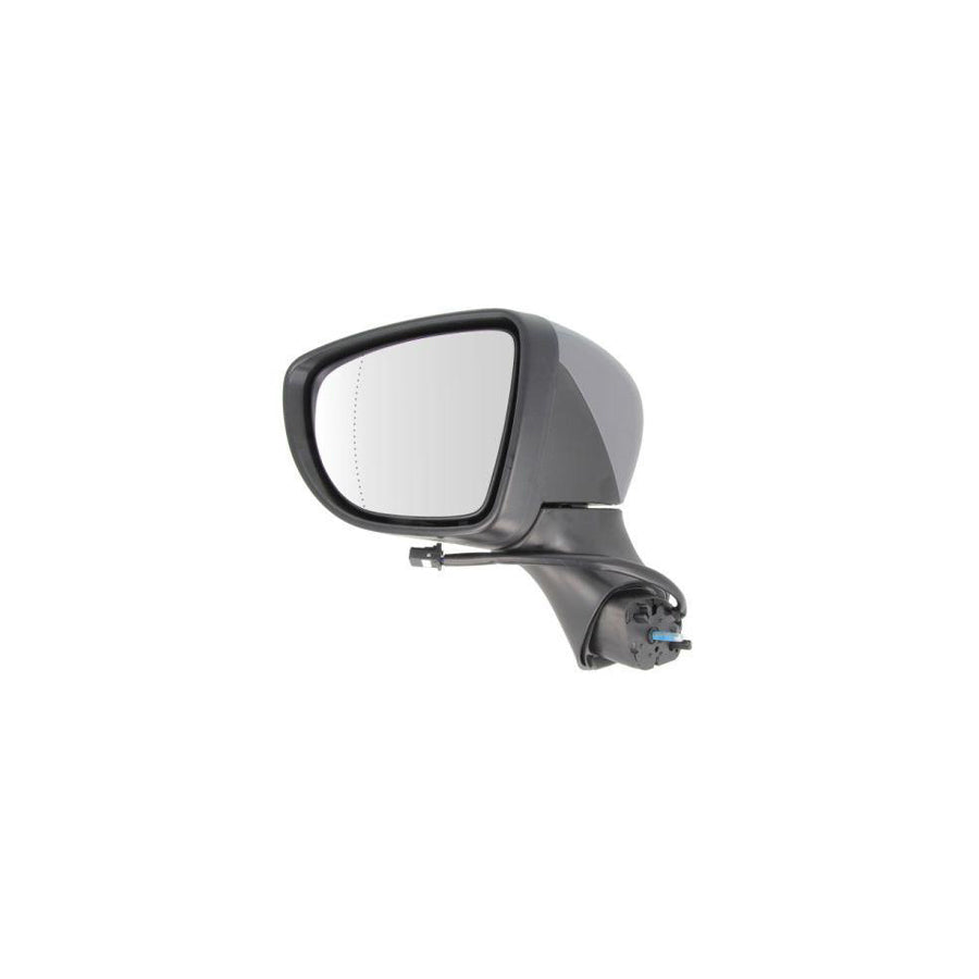 Blic 5402-09-2002129P Wing Mirror For Renault Clio