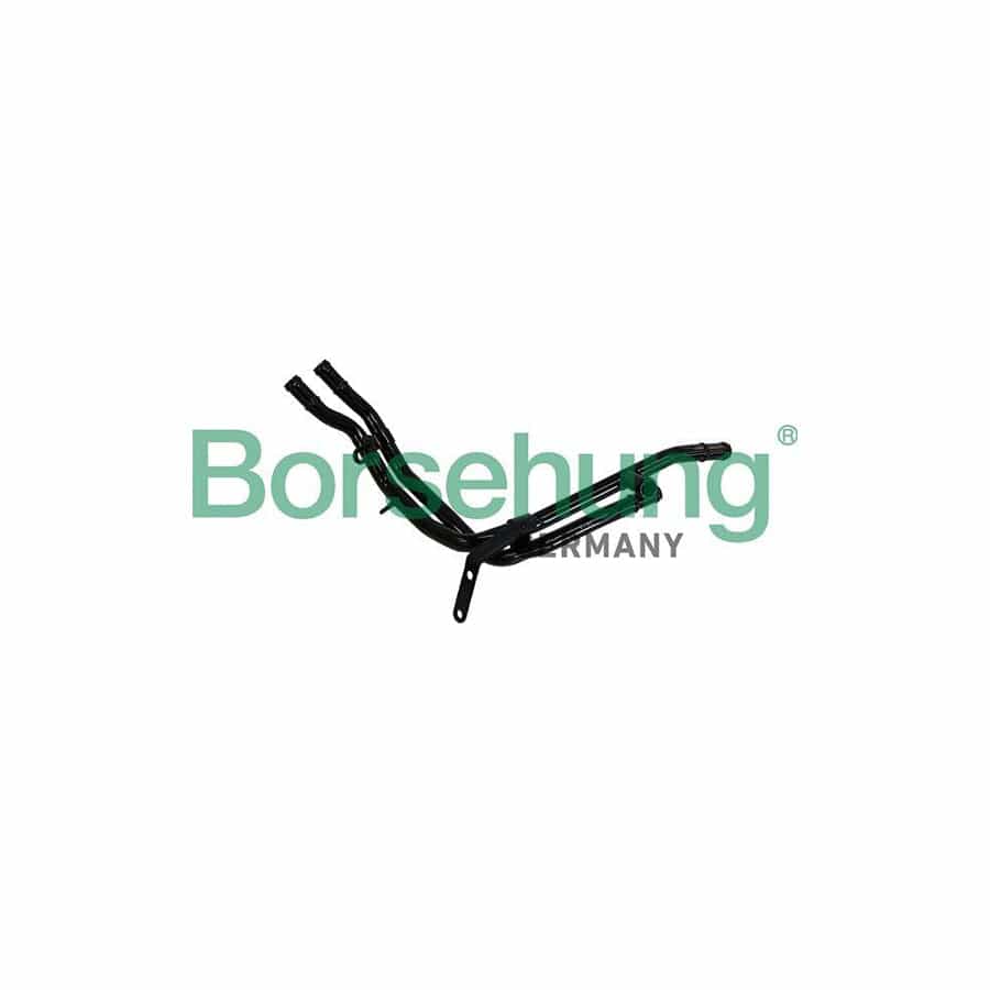 Borsehung B19218 Coolant Tube