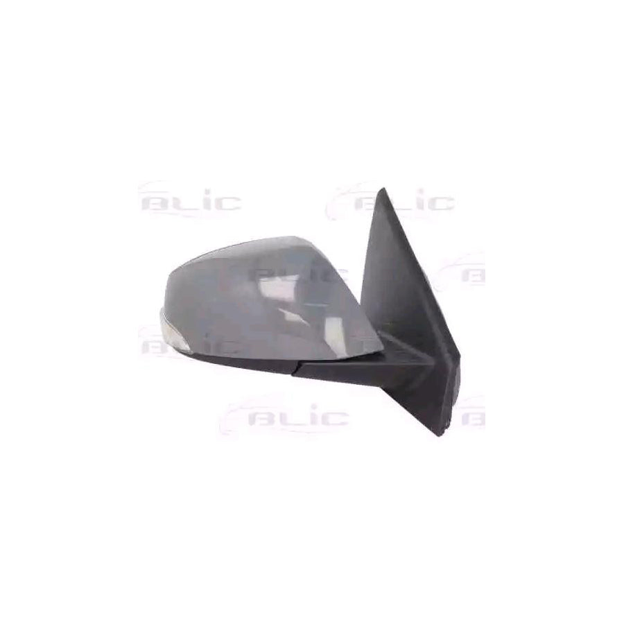 Blic 5402-09-2002174P Wing Mirror