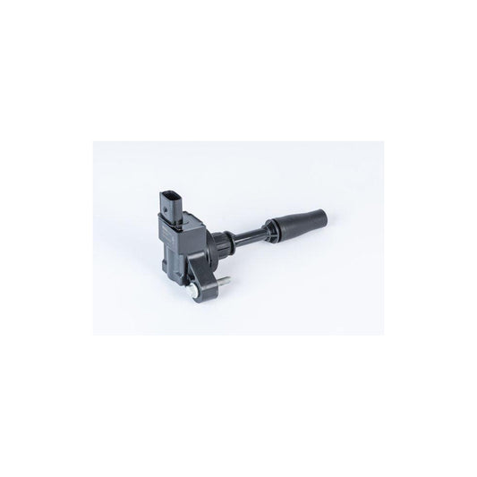 Beru ZSE234 Ignition Coil