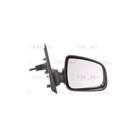 Blic 5402-67-2001142P Wing Mirror