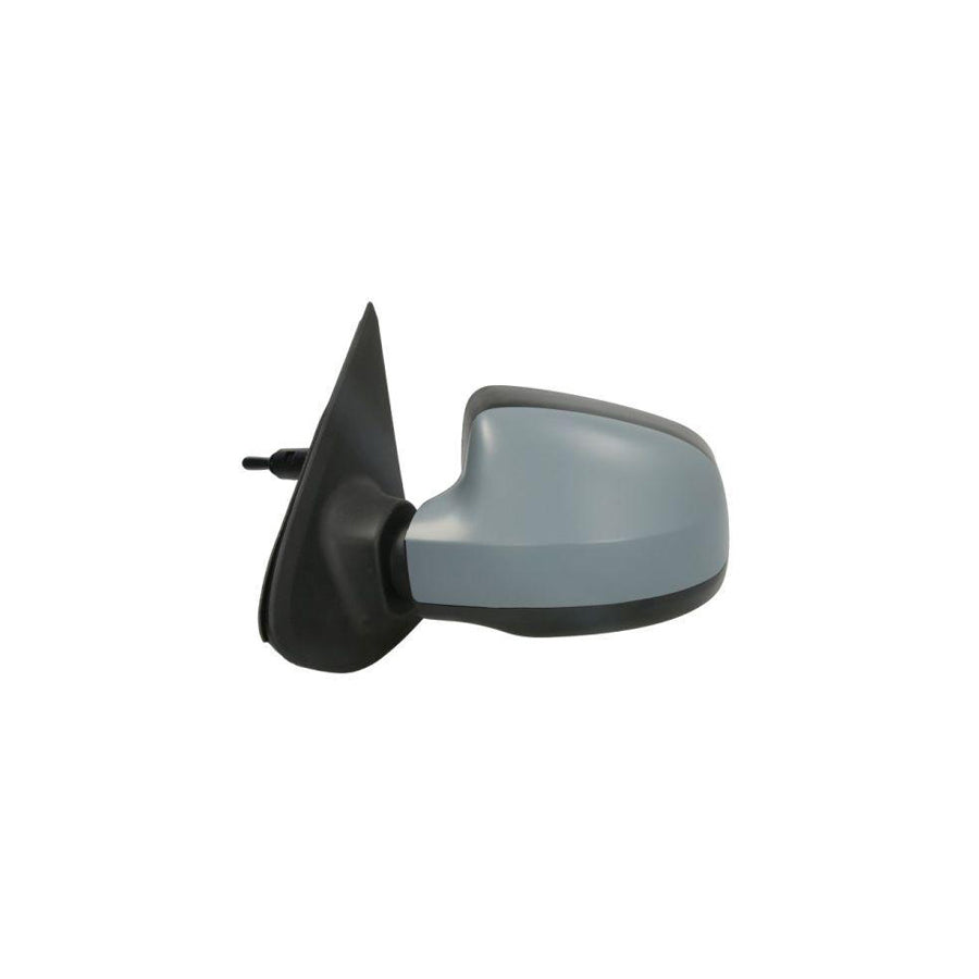 Blic 5402-67-2002809P Wing Mirror