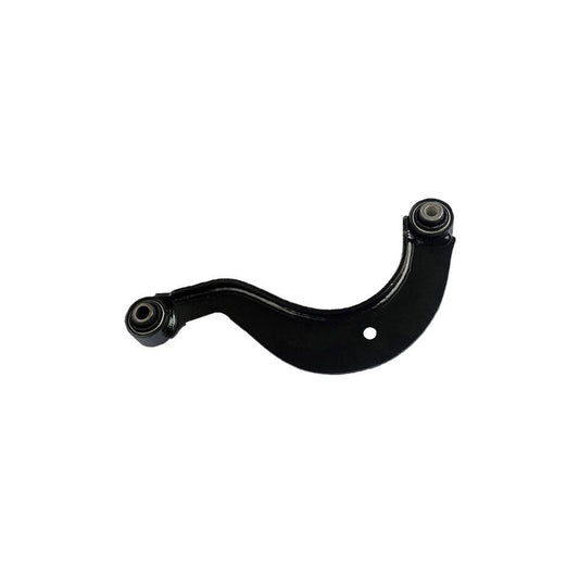 Bugiad BAP55023 Suspension Arm