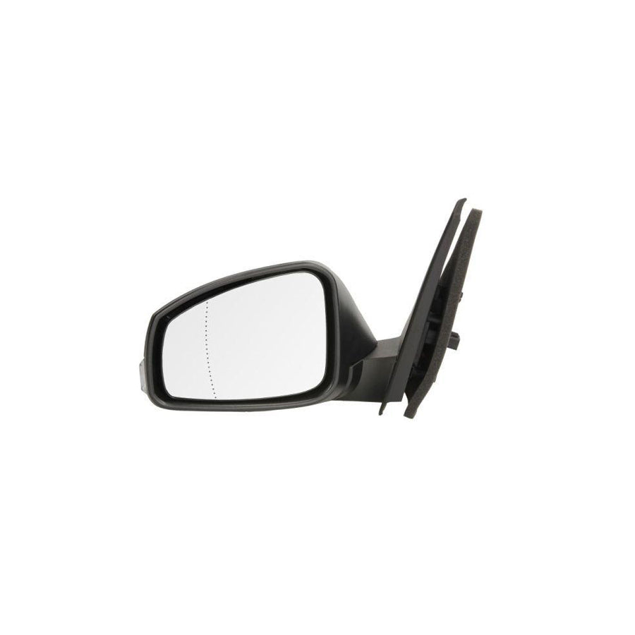 Blic 5402-09-2002191P Wing Mirror