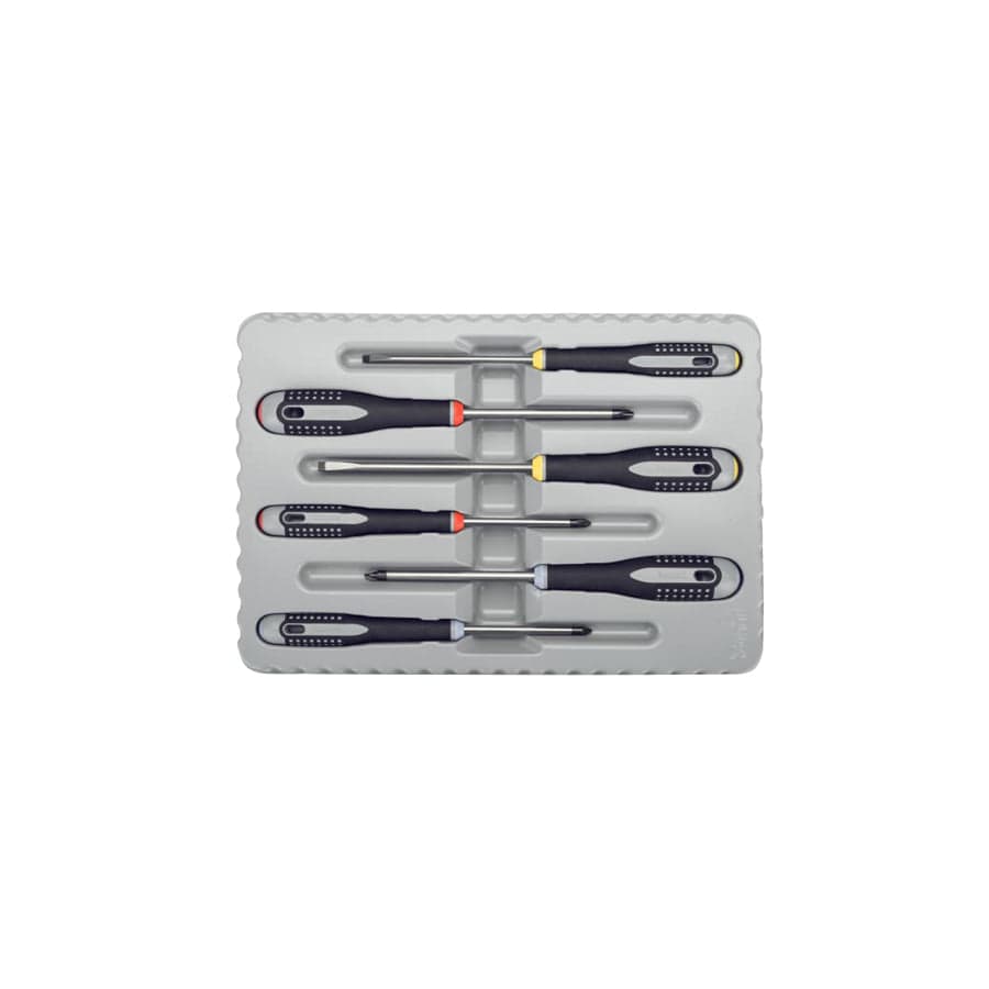 Bahco BAHBE9884 BE-9884 ERGO Screwdriver Set, 6 Piece | ML Performance UK