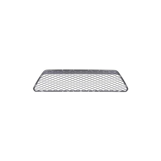 Blic 6502-07-2533992Cc Bumper Grill For Ford Focus