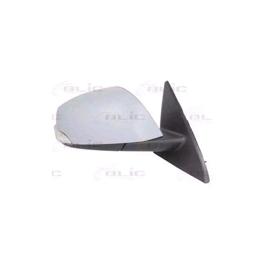 Blic 5402-09-2002180P Wing Mirror For Renault Latitude