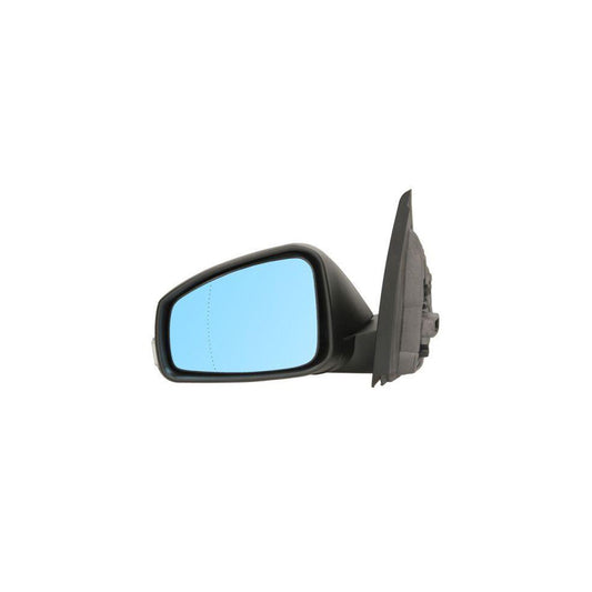 Blic 5402-09-2002175P Wing Mirror