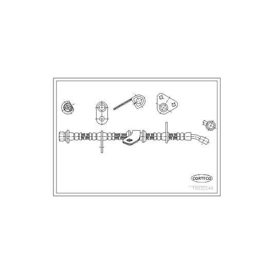 Corteco 19032246 Brake Hose | ML Performance UK