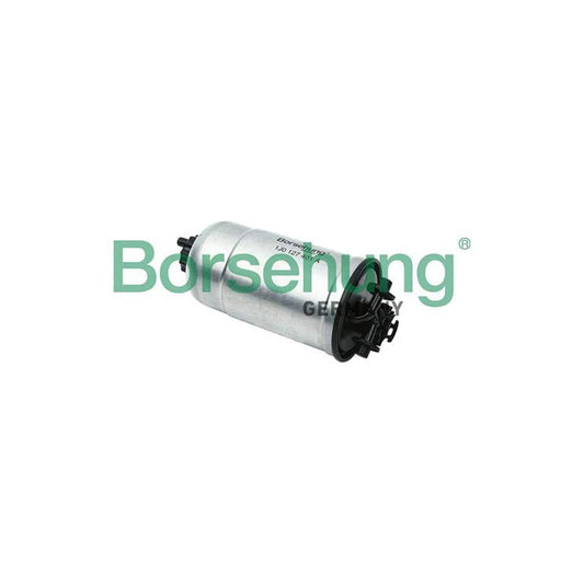 Borsehung B12824 Fuel Filter