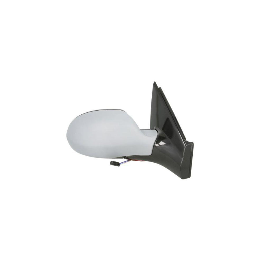 Blic 5402-04-1139852 Wing Mirror For Citroen C5