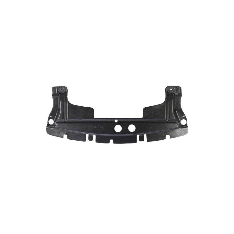 Blic 6601-02-4001880P Skid Plate