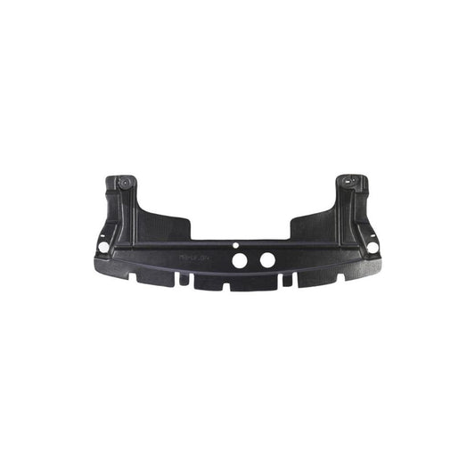 Blic 6601-02-4001880P Skid Plate
