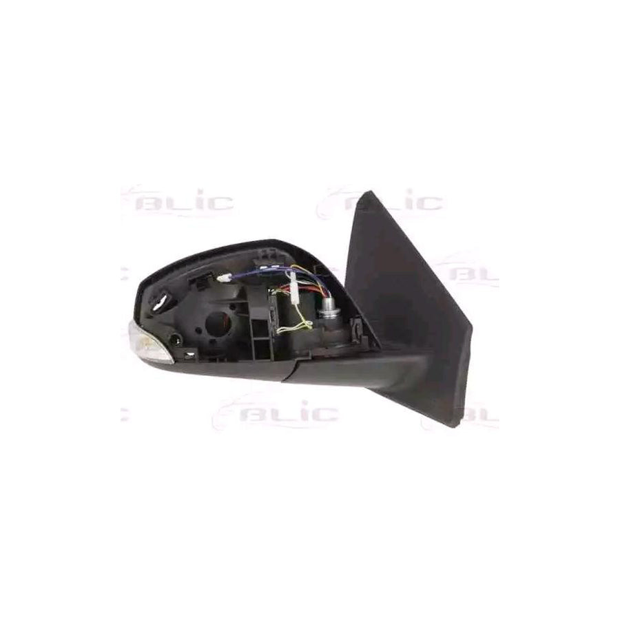 Blic 5402-09-2002196P Wing Mirror For Renault Megane