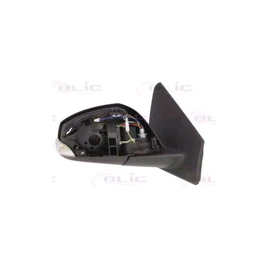 Blic 5402-09-2002196P Wing Mirror For Renault Megane