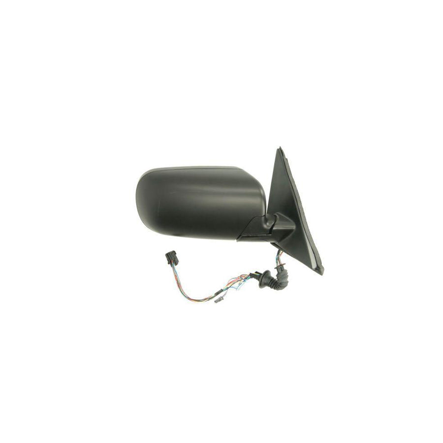 Blic 5402-04-1139825 Wing Mirror For BMW 5 Series