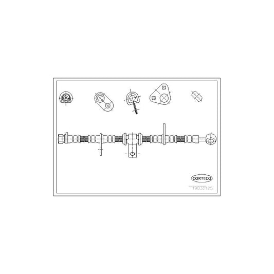 Corteco 19032125 Brake Hose | ML Performance UK