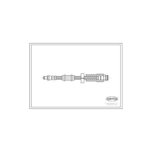Corteco 19031197 Brake Hose | ML Performance UK