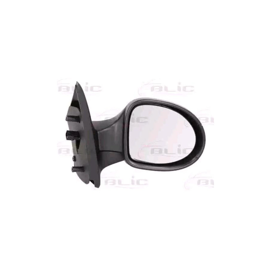 Blic 5402-09-2002224P Wing Mirror For Renault Twingo