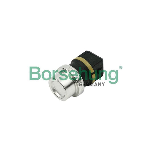Borsehung B13134 Sensor, Coolant Temperature