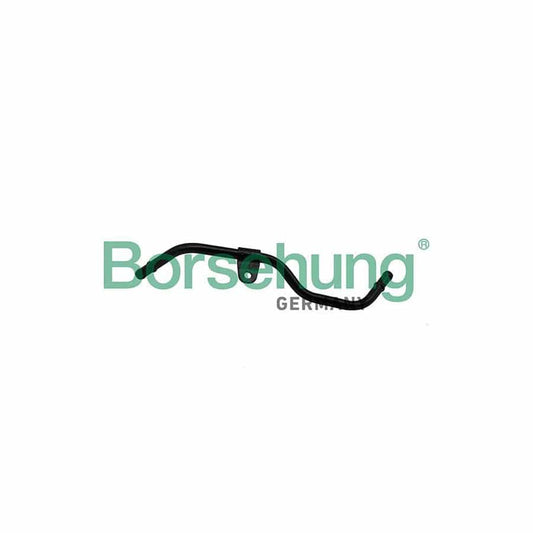 Borsehung B19265 Coolant Tube