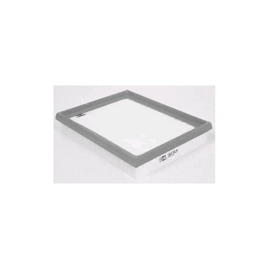 CHAMPION CAF100643P Air Filter | ML Performance UK Car Parts