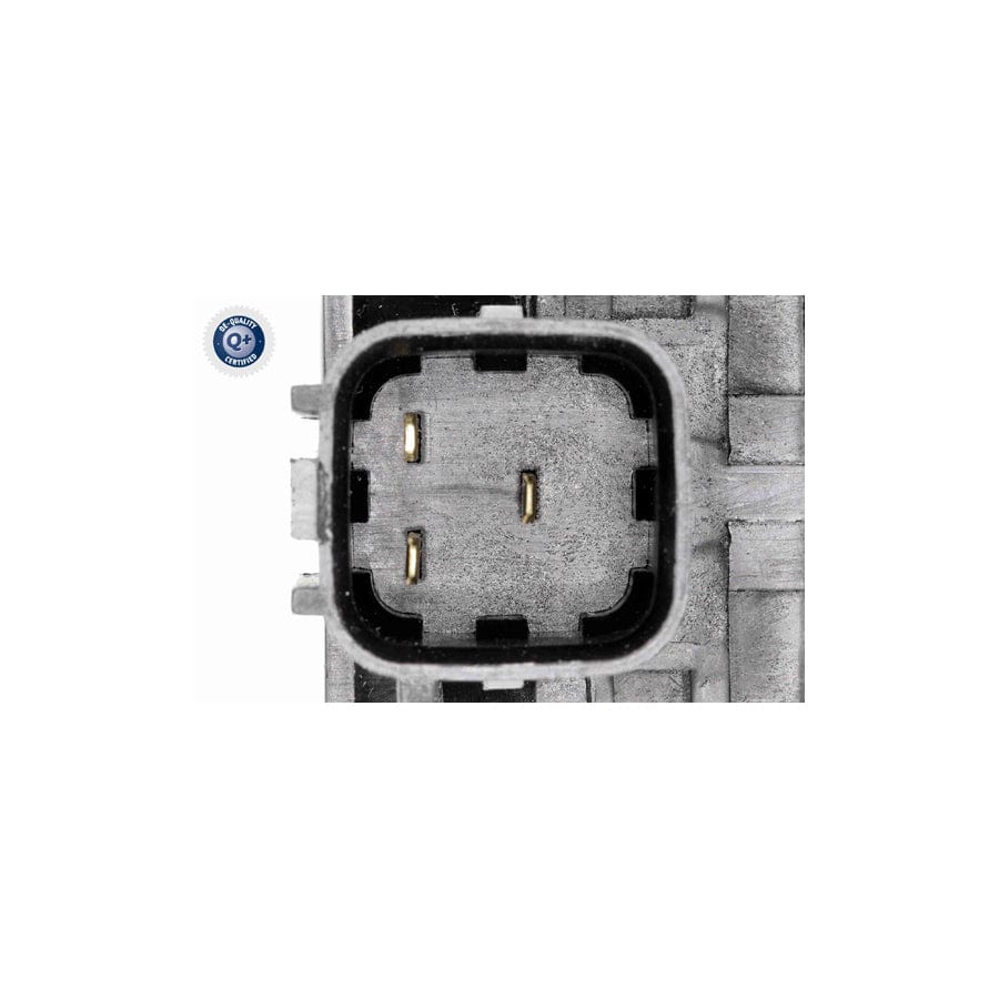 Ackoja A32-80012 Brake Disc For Mazda MX-5 III (Nc) | ML Performance UK