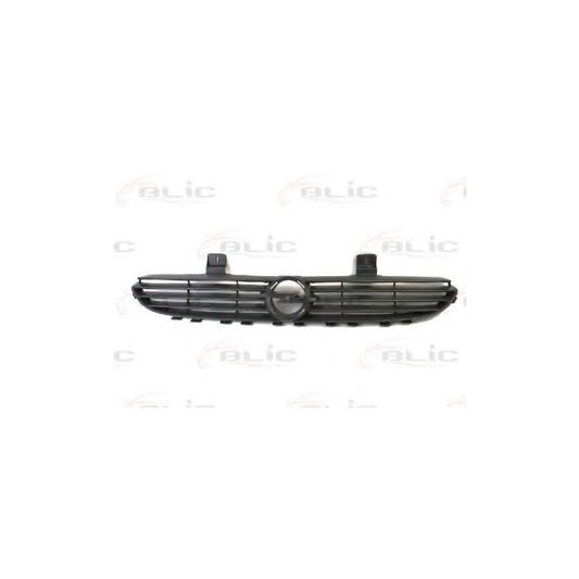 Blic 6502-07-5022993P Radiator Grille