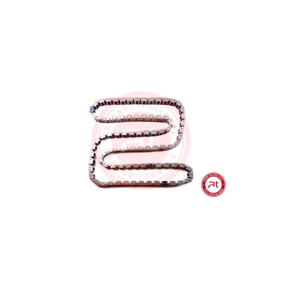 At Autoteile Germany at10733 Timing Chain
