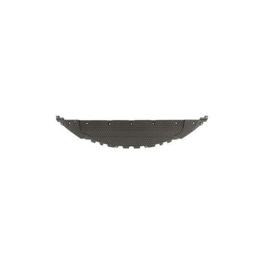 Blic 6601-02-5725860P Skid Plate For Porsche Boxster