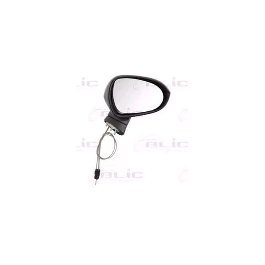 Blic 5402-10-2002284P Wing Mirror For Seat Ibiza